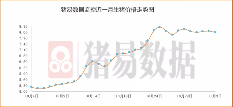 猪价强势反弹：猪股全线飘红 “昙花一现”还是“周期反转”？