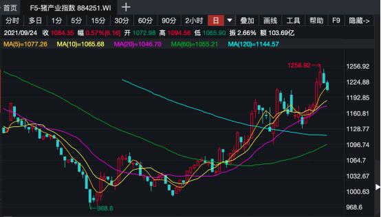 重要信号！猪企10月销售均价现企稳迹象，猪周期拐点渐行渐近