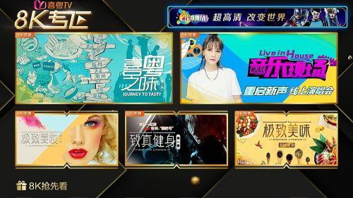 4K花园与新媒股份联合打造 国内首个IPTV 8K专区上线