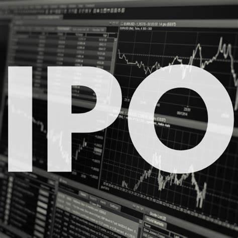 秋乐种业二闯IPO | 业绩“过山车”式，核心产品市场占有率下滑